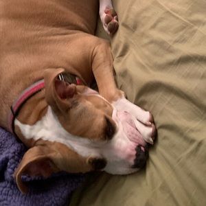 Meet your Posher, Edward